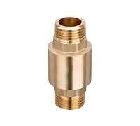 Valvole di ritegno in ottone montate verticalmente 1 pollice Costruzione a parete pesante resistente alla temperatura Per prodotti chimici sanitari uso industriale valvole di ritegno in ottone