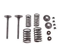 Valvole di scarico di aspirazione molle per 110cc ATV Dirt Pit Bike Go Kart Trail Bike