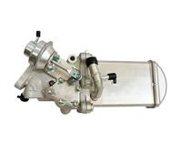 Valvole EGR 1 pezzo OEM X191666 EGR Cooler Per Changan Per Kaicheng F70 D20T Motore Con Cilindrata Di 1,9