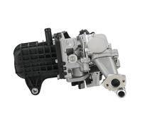 Valvole EGR 1X Modulo Valvola EGR Per Citroen Per Peugeot 2.0 DW10 9807593080