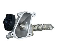 Valvole EGR Valvola EGR Pneumatica (6NU 014 865-131) OEM Hella
