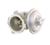 Valvole Egr Valvola Pneumatica (6NU 010 171-701) OEM HELLA