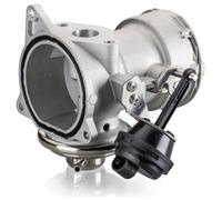 Valvole Egr Valvola Pneumatica (6NU 010 171-881) OEM Hella