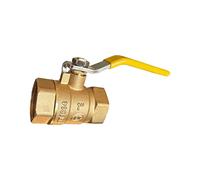 Valvole filettate femminili resistenti Pompe a stantuffo in ottone Valvole per agricoltura e giardinaggio Uso spruzzatore Parti di ricambio Accessori per apparecchiature di irrigazione