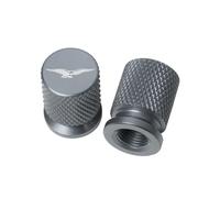 valvole tappi di pneumatici Per Moto Guzzi V85tt V100 Mandello V7 Pietra V8S V85 TT Bobber Breva 850 Ruota Tappo Valvola Della Gomma Copertura Dello Stelo Bouchon Accessori(Titanium)