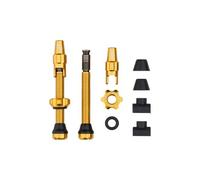 Valvole tubeless wolf tooth con valvola clik gold