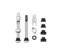 Valvole tubeless wolf tooth con valvola clik silver