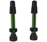 Valvole tubeless WTB presta TCS Vert