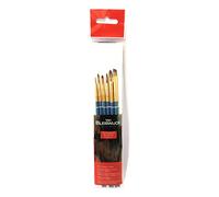 Van Bleiswijck - Set di 6 pennelli professionali in diverse misure