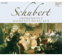 Van Den Hoek,Martijn - Impromptus/Moments Musicaux