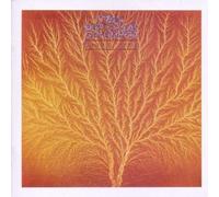 Van Der Graaf Generator - Still Life by Van Der Graaf Generator (1995-06-01)