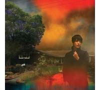 Sharon Van Etten We've Been Going About This All Wrong (Vinyl LP)