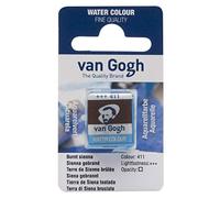 Van Gogh Acquerello, mezzo godet, terra di Siena bruciata 411