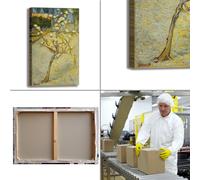 Van Gogh piccolo pero design quadro stampa tela dipinto telaio arredo casa