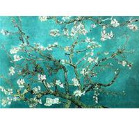Van Gogh Poster (125r) (Almond Blossom San Ramy 1890) (61x91,5)