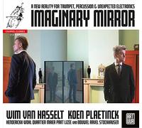 Van Hasselt, Wim/ Plaetinck, Koen - Imaginary Mirror
