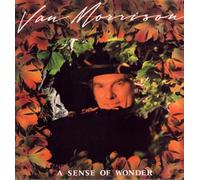 Van Morrison - A Sense of Wonder (1984)