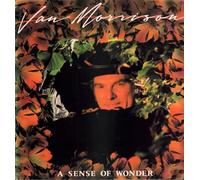 Van Morrison - A Sense of Wonder (1984) [Import]