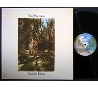 Van Morrison - Tupelo Honey