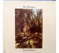 Van Morrison: Tupelo Honey [German Import] [LP in vinile] [Warner Bros k46114 (WS 1950)]