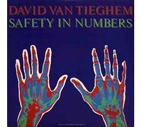 Van Tieghe - Safety in Numbe