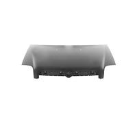 VAN WEZEL 1636660 Cofano