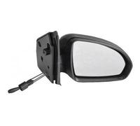 VAN WEZEL 2911804 Specchietto retrovisore esterno