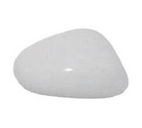 VAN WEZEL 4939844 Copertura, Specchio esterno