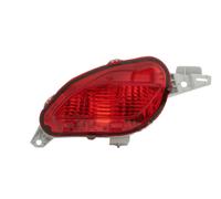 VAN WEZEL 5428939 Retronebbia