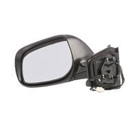 VAN WEZEL 5432805 Specchietto retrovisore esterno