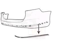 VAN WEZEL 5740554 Mostrina, Paraurti