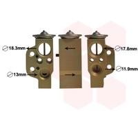 VAN WEZEL 74001076 Valvola ad espansione, Climatizzatore per PORSCHE,VW