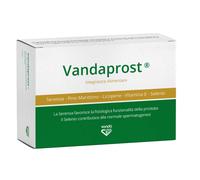 Vandaprost 24 capsule vanda