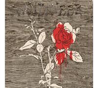 Vandaveer - Oh, Willie, Please...