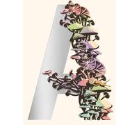 Vandermeer Ambergris (Copertina rigida)