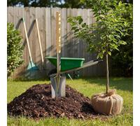 Vanga stretta Attrezzo da giardino e paesaggistica per tagliare le radici,