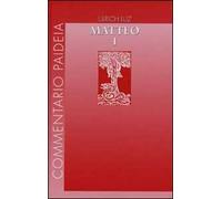 Vangelo di Matteo. Vol. 1: Introduzione. Commento ai capp. 1-7.