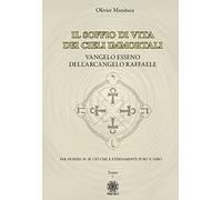 Vangelo esseno dell'arcangelo Michele. Il soffio di vita dei cieli immortali (Vol. 7)