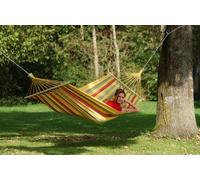 Vaniglia di Aruba żółty