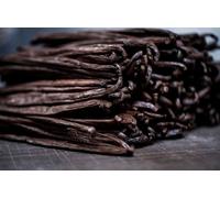 Vaniglia Madagascar Le Bacche Di Vaniglia Bourbon