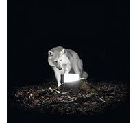 Vanishing Life Surveillance (CD) Album