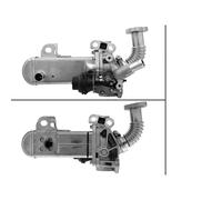 Vanne EGR Ricircolo Gas Per Nissan Cabstar NP300 Navara Pathfinder III