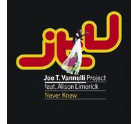 Vannelli,Joe T.Project - Never Knew