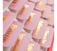 VANRA Schede bibliche per donne Studio Forniture per diario biblico Stampa grande, 96 schede Antico e Nuovo Testamento per studiare con schede bibliche laminate vuote Rosa (lettere in lamina d'oro, 1,