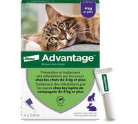 VANTAGGIO 80 - 4 pipette antiparassitarie - Per gatti e conigli da 4 kg e oltre