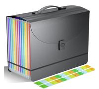Vanulee Organizer portatile a fisarmonica con 12 tasche, con manico, espandibile, con coperchio espandibile, in plastica, per documenti formato A4/lettera, carta, banconote, linguette colorate dalla A
