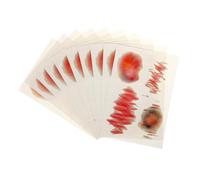 VANZACK 10 Fogli Adesivi Realistici Cicatrici e Lividi per Pranks Finti Graffi e Ferite in PVC Sicuri per Decorazioni per Halloween Aprile e Feste