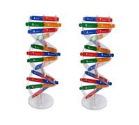 VANZACK 2 Set Dna Doppia DIY Kit Educativo Scientifico per Studenti Didattico Assemblabile per Apprendimento Biologia e Ruoli del Dna Strumento Interattivo per Insegnamento