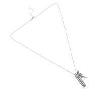 VANZACK Ciondolo Urna Per Ceneri Animali Domestici Ricordo Commemorativo in Acciaio Al Collana Urna Piccola e Resistente Adatto Per Portare in o