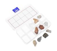 VANZACK Didattico Geologia per Esemplari di Minerali e Rocce Naturali Collezione per Scuola Elementare e Apprendimento Domestico Include Grandi Calcare Fossili e Varietà di Rocce